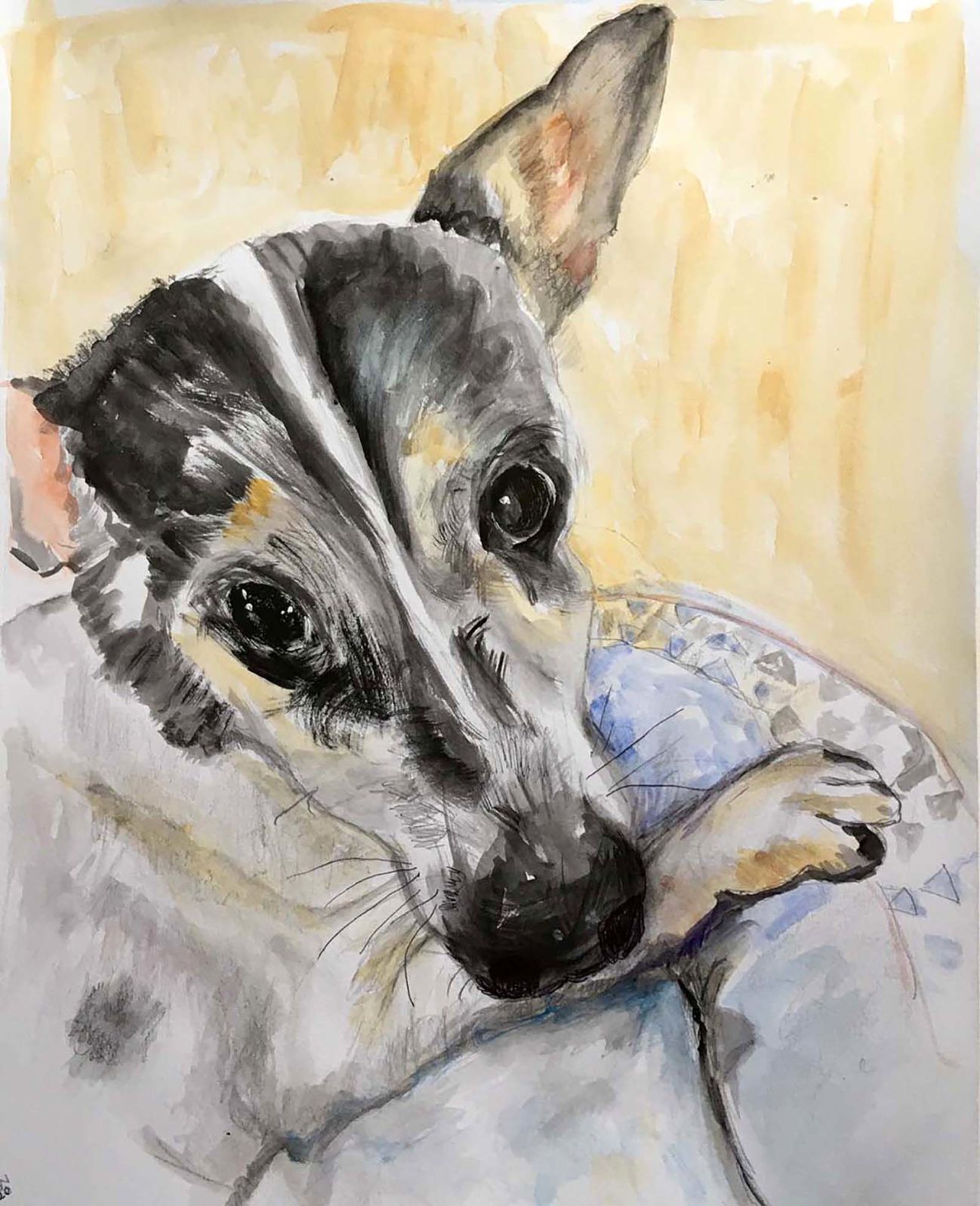 A cheeky dog